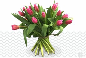 lila tulpen 50 stuks 