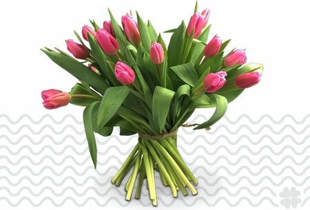 lila tulpen 50 stuks 