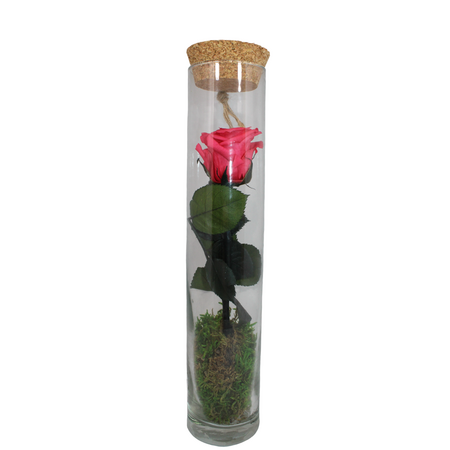 gestabiliseerde bloemen 23
