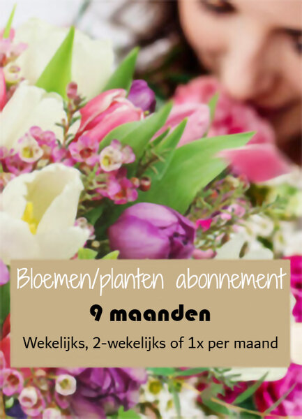 Bloemen/planten abonnement 9 maanden