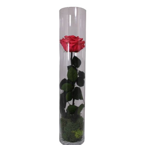 gestabiliseerde bloemen 42