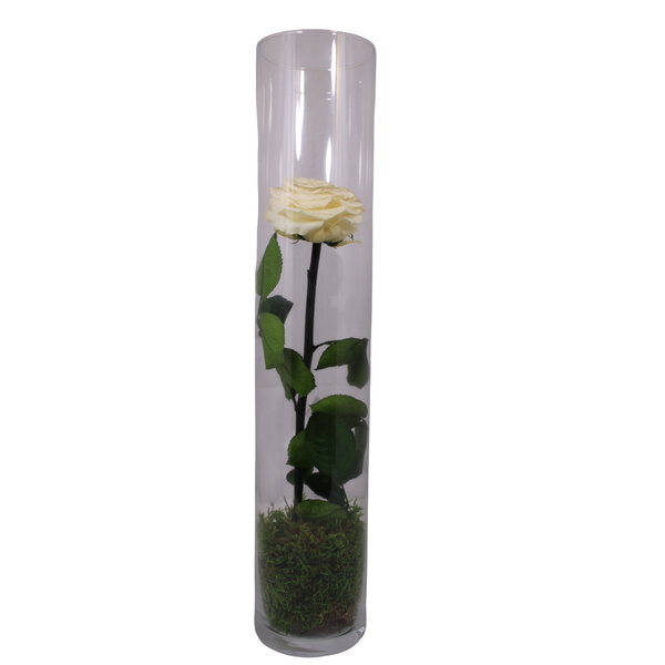 gestabiliseerde bloemen 40