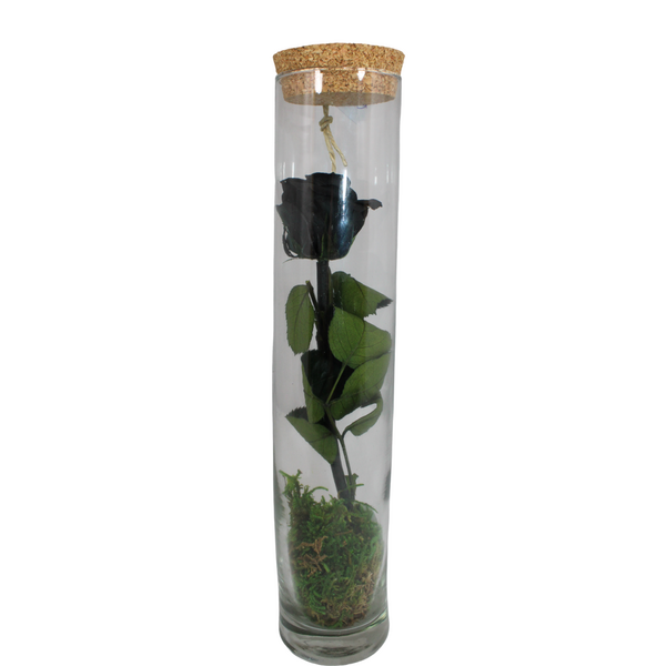 gestabiliseerde bloemen 22