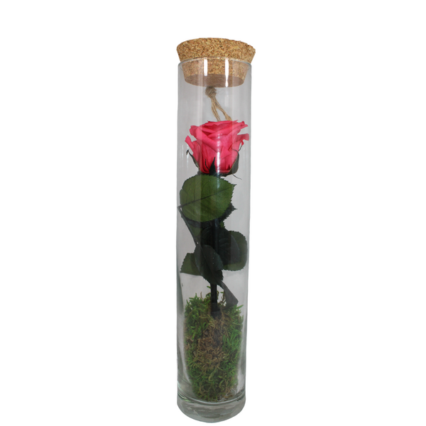 gestabiliseerde bloemen 23