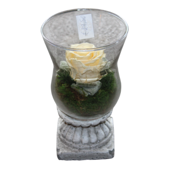 gestabiliseerde bloemen 10