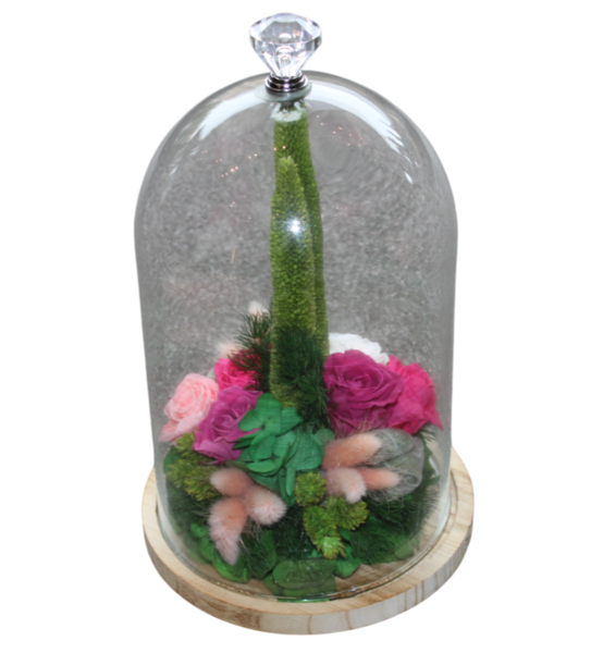 gestabiliseerde bloemen 16