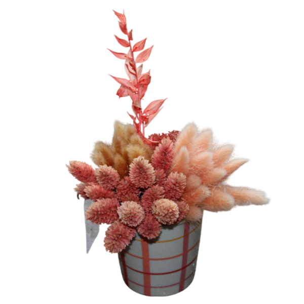 gestabiliseerde bloemen 31