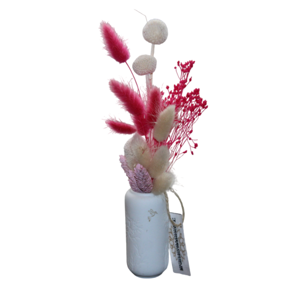gestabiliseerde bloemen 37