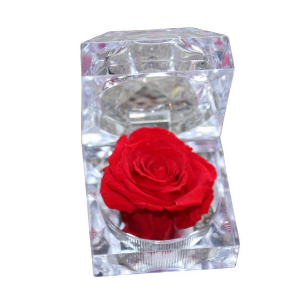 gestabiliseerde bloemen 51
