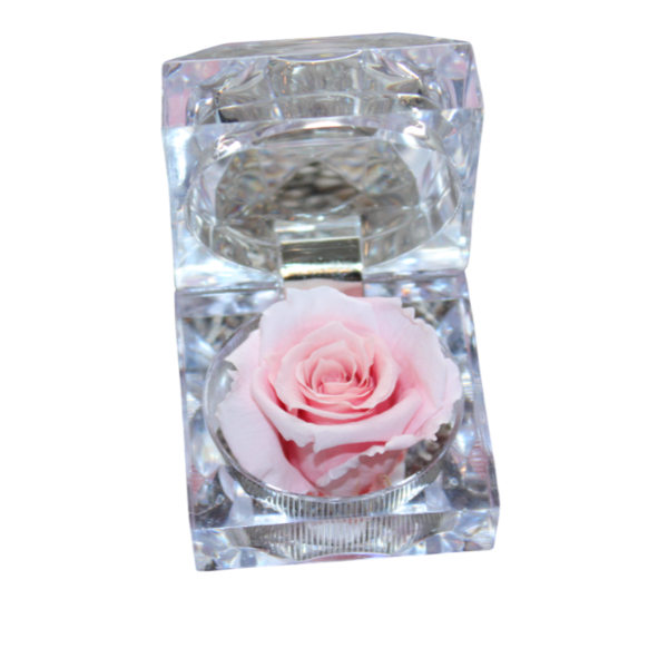 gestabiliseerde bloemen 52