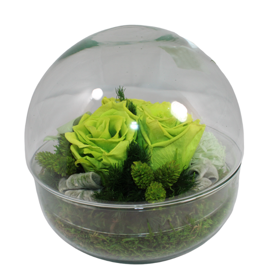 Gestabiliseerde bloemen 4