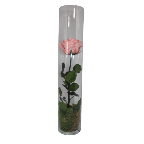 gestabiliseerde bloemen 41