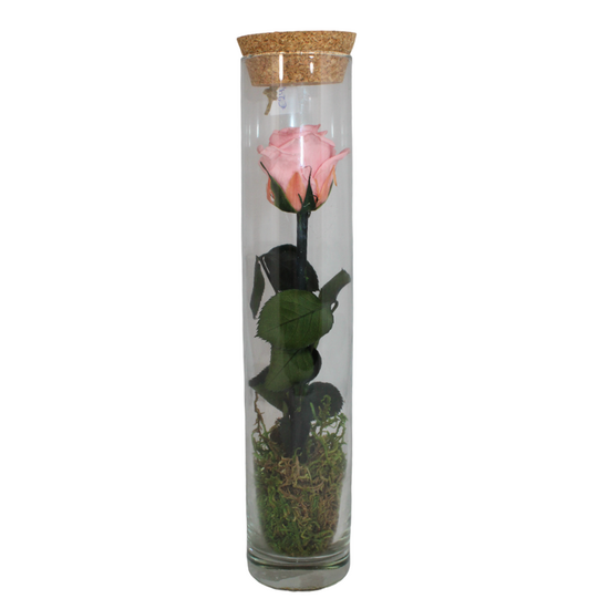 gestabiliseerde bloemen 21