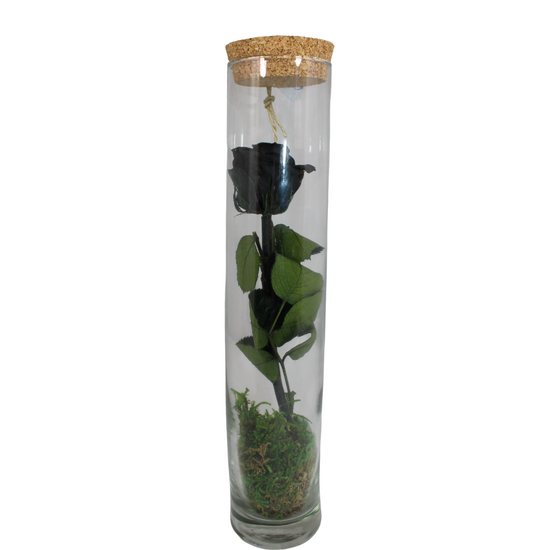 gestabiliseerde bloemen 22