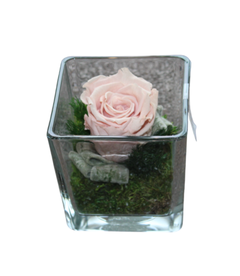 Gestabiliseerde bloemen 5