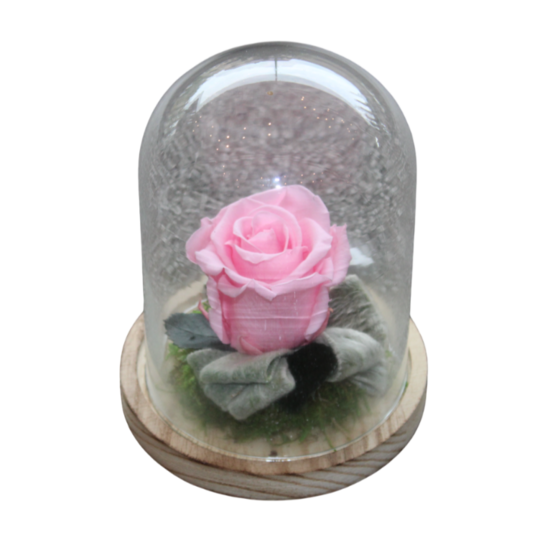 Gestabiliseerde bloemen 8