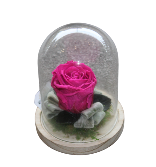gestabiliseerde bloemen 9