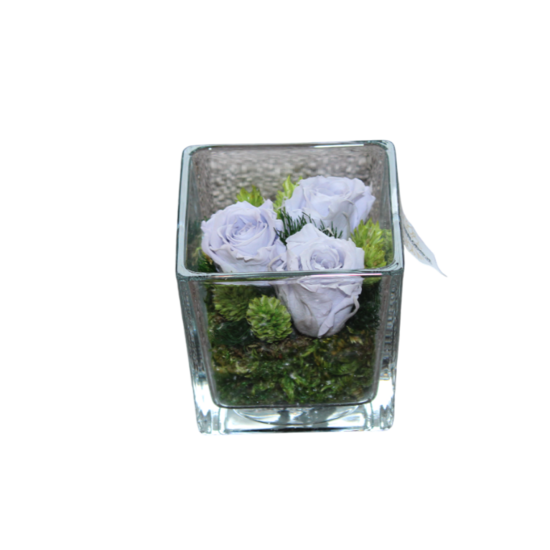 gestabiliseerde bloemen 12