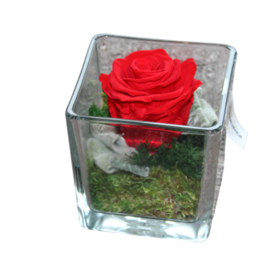 gestabiliseerde bloemen 13