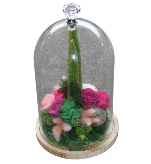gestabiliseerde bloemen 16