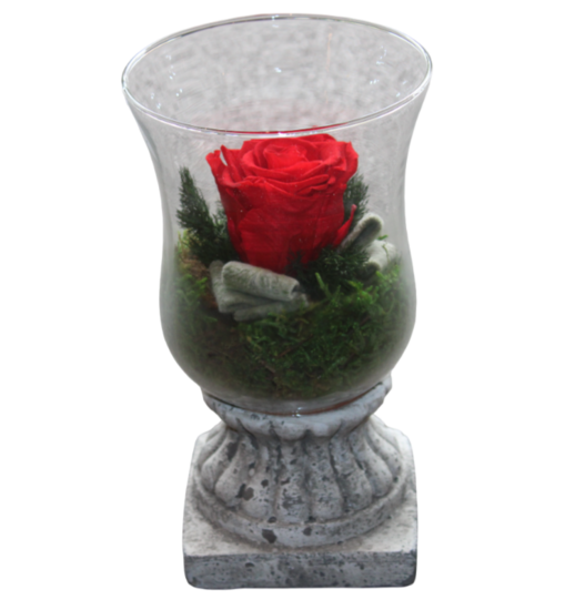 gestabiliseerde bloemen 18