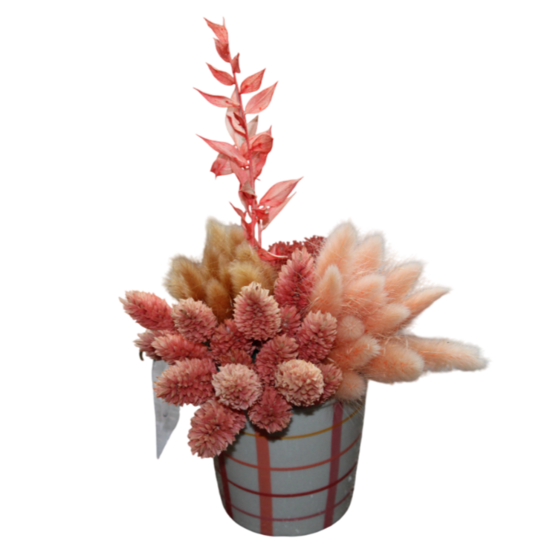 gestabiliseerde bloemen 31