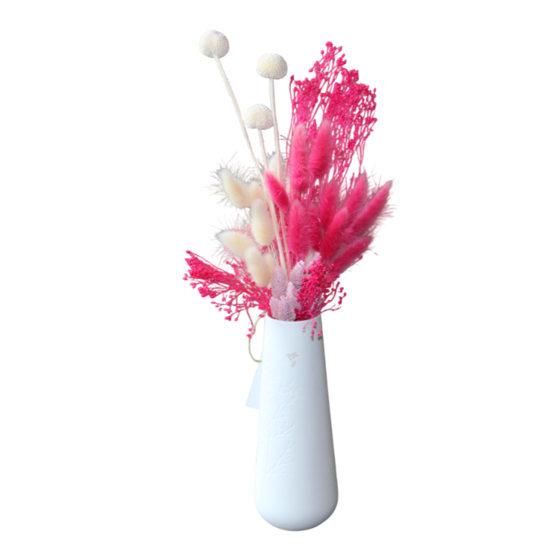 gestabiliseerde bloemen 39
