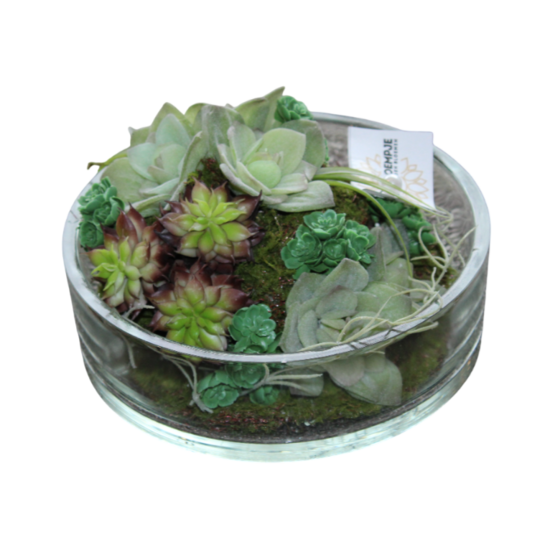 gestabiliseerde bloemen 46