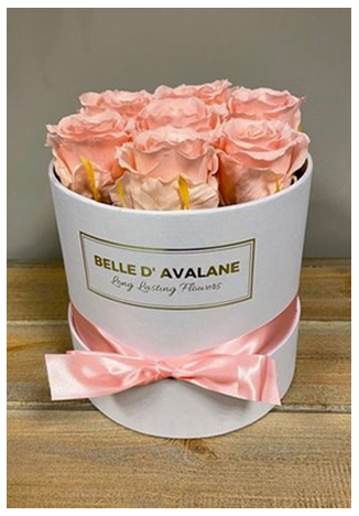 Bloemen voor lange tijd ? Het kan !