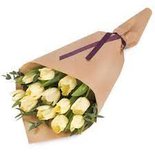 Tulpengeschenk wit