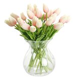 Licht roze tulpen 50 stuks