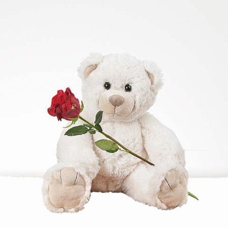 witte knuffel met rode roos