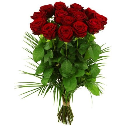 15 rode rozen