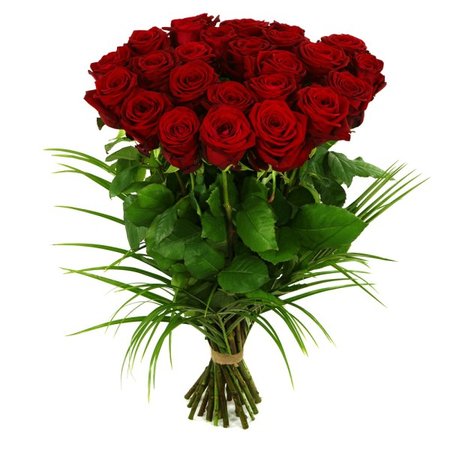 25 rode rozen