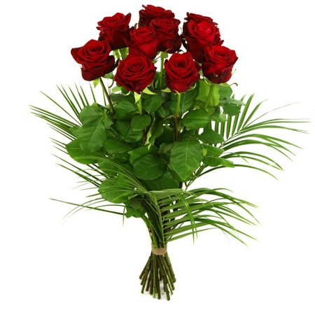 10 rode rozen