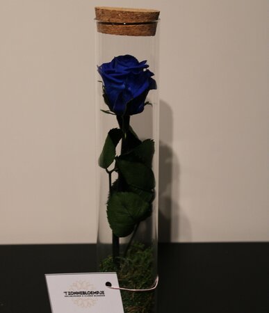 Vriesdroog 6