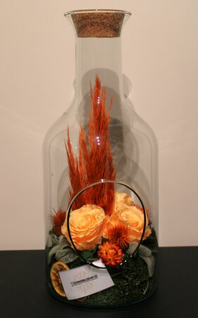 Vriesdroog 19