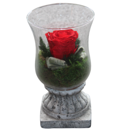 gestabiliseerde bloemen 18