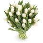 Witte tulpen (per bos van 10st)