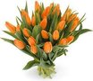 Oranje tulpen (per bos van 10st)