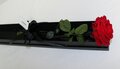 Vriesdroog 18
