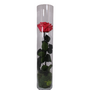 gestabiliseerde bloemen 42