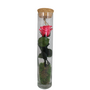 gestabiliseerde bloemen 23