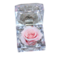 gestabiliseerde bloemen 52